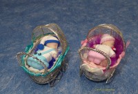 /album/galerie-de-photos-galerie-photos/deux-poussettes-jpg1/